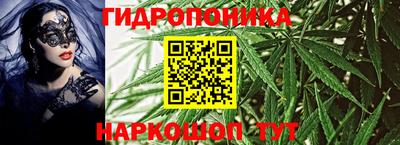 эйфоретик Моздок