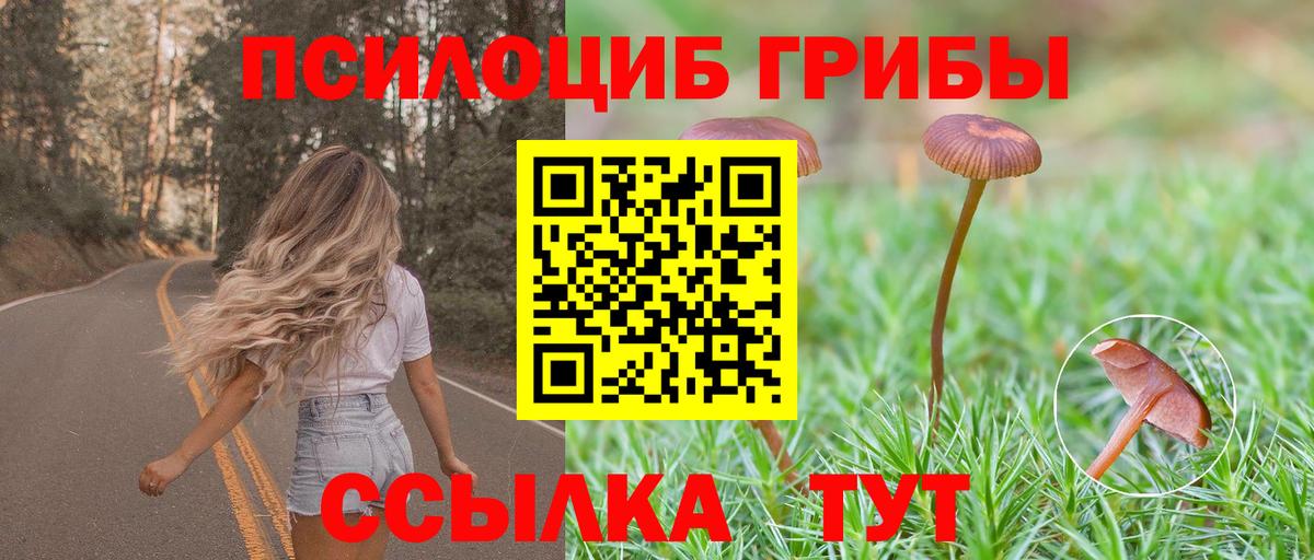 где продают   Псилоцибиновые грибы Cubensis  Галлюциногенные грибы мухоморы  Вход с VPN  Унеча 